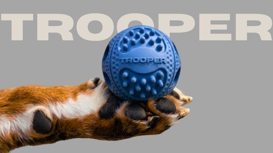 TROOPER | The Ball Your Dog’s Been Waiting For.