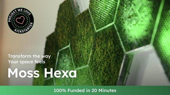 Moss Hexa: Modular Moss Panels for Any Space